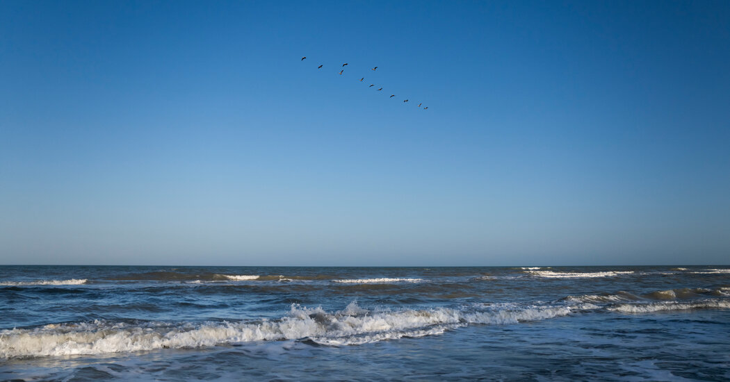 Gulf of Mexico? Gulf of America? What’s in a Name, Anyway?