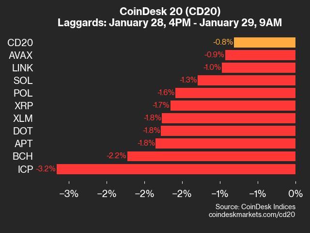 9am CoinDesk 20 Update for 2025-01-29: laggards chart