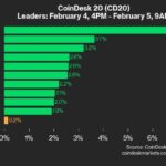 9am CoinDesk 20 Update for 2025-02-05: leaders chart