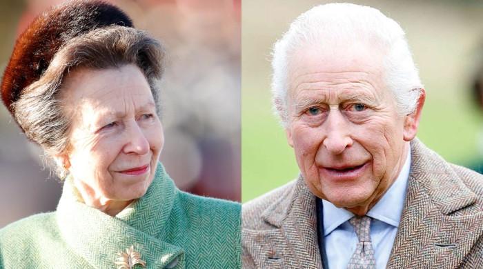 Princess Anne makes King Charles smile with delightful gesture