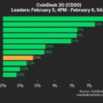 9am CoinDesk 20 Update for 2025-02-06: leaders chart